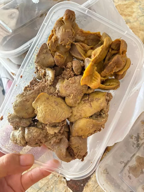 Ati ampela ungkep